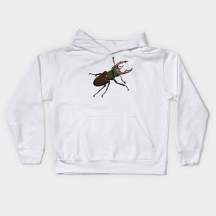 Stag beetle cartoon illustration Kids Hoodie